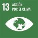 Acción por el clima (ODS 13) TOR Technologie Offer Request
